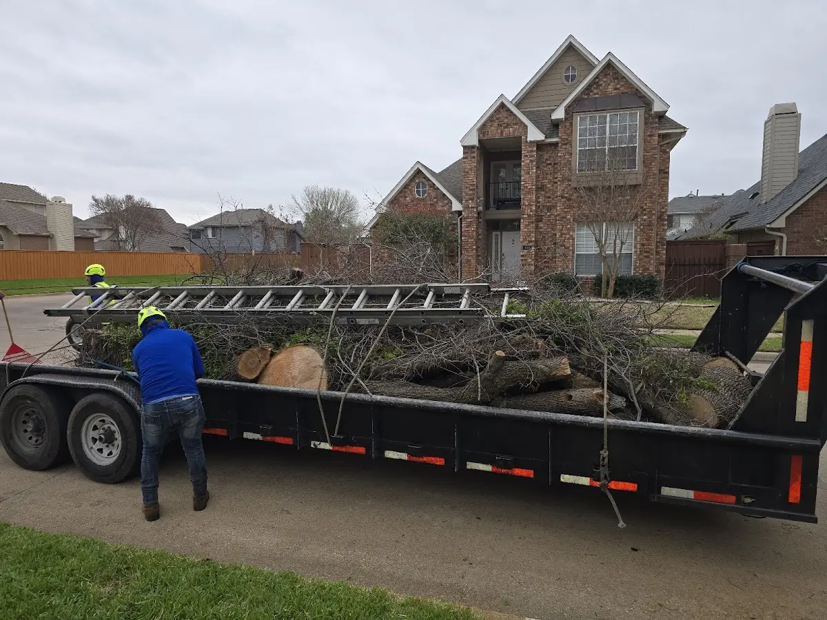 Expert Tree Fertilization with proper safety equipment in Kinsley